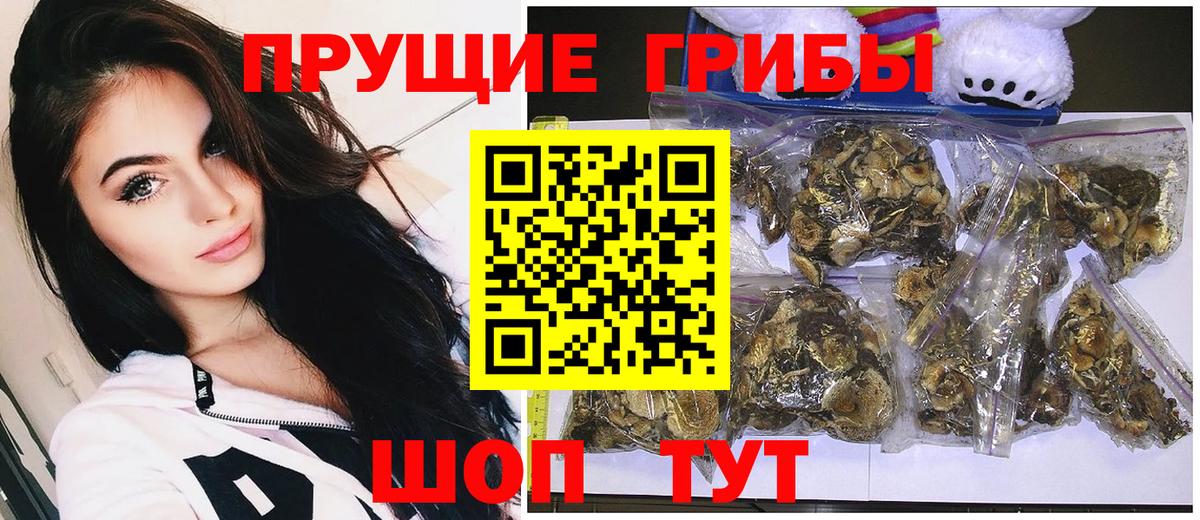 Галлюциногенные грибы ЛСД Тимашёвск